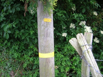 Yellow marker.